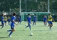 251013-p36s.jpg