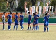 251101-p50s.jpg