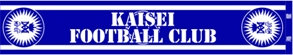 kaiseisoccer_b11017027.jpg