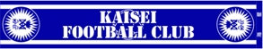 kaiseisoccer_b11030068.jpg