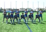 p1010446_s.jpg